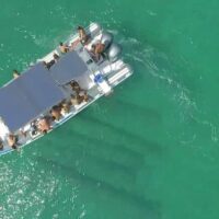 Luxury Tours