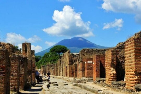 Pompeii and Vesuvius Day Trip from Naples with skip the line