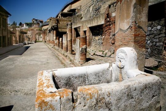 Pompeii, Mt. Vesuvius, Herculaneum private tour