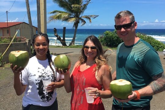 North West Adventure Puerto Rico