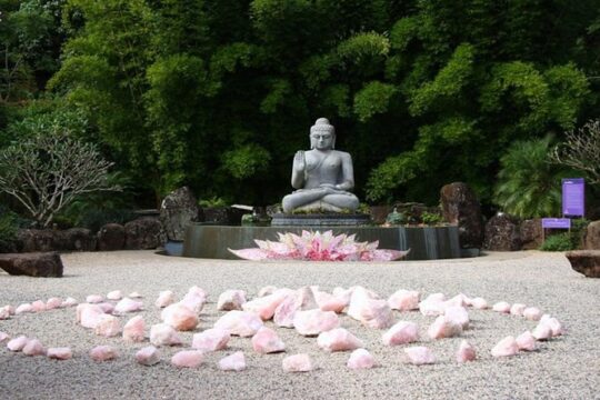 From Byron Bay to Crystal Castle 4.5 Hours Tour