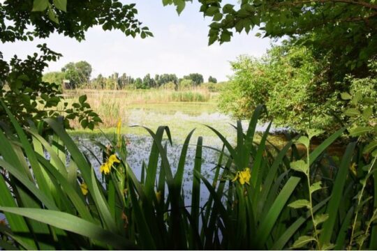 Riviera del Brenta, lagoon and natural areas mystery private tour