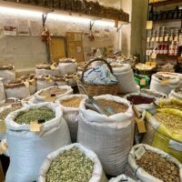 Cultural & Theme Tours