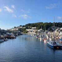 Walking & Biking Tours