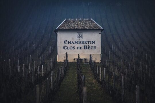 Luxurious Wine Tour in Burgundy