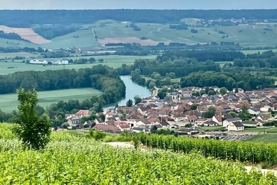 Private Champagne Boizel, Pommery Cellars Tastings Guided Tours