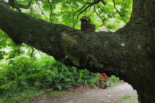 Howth Hiking Trail from Dublin: Mythology and Legend