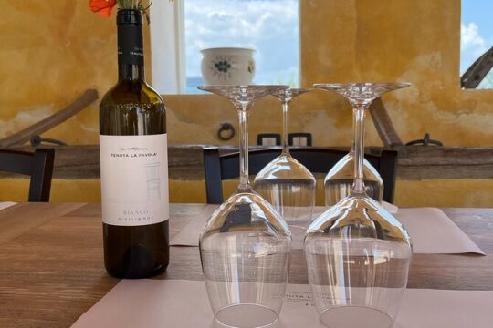 Winery Tour with Wine and Food Tasting in Noto