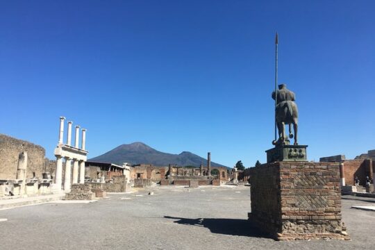Pompeii and Herculaneum with archaeologist, private visit !!!