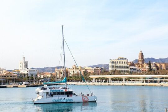 Bay of Malaga Catamaran Sailing