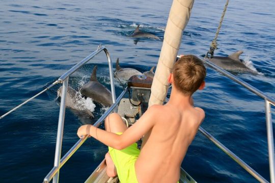 Sailing Boat-always private-always by sail-search for dolphins