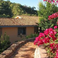 Cultural & Theme Tours