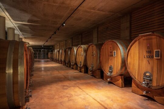 Barolo Wine Tour