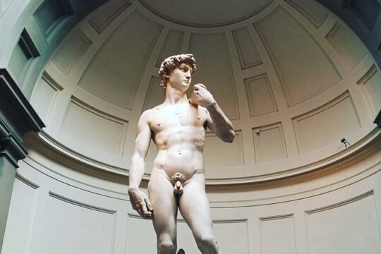 Florence: 1-hour Accademia Gallery guided experience with entrance tickets