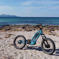 Walking & Biking Tours