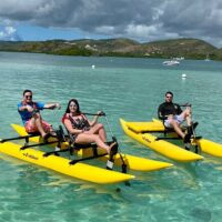 Cruises, Sailing & Water Tours