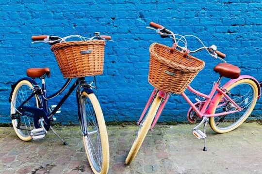 Private Family Bike Tour of London