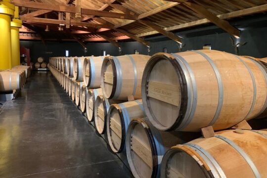 Private tour and visits on the Medoc Castle Route (Luxury Minivan)