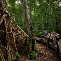 Sustainable Tours
