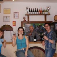 Shore Excursions