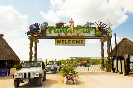 Cozumel Jeep and Snorkel Adventure with Lunch at Punta Sur Park