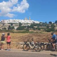 Walking & Biking Tours
