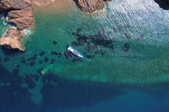Lerins Islands Boat Excursion From Nice