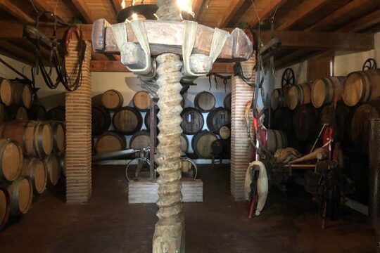 Discover boutique wineries and white washed villages with Andalucian lunch