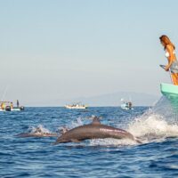 Cruises, Sailing & Water Tours