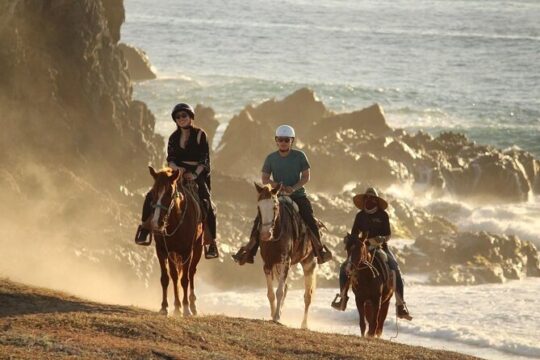 Horse Back Ridding Tour on the Pacific Ocean & Desert