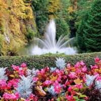 Shore Excursions