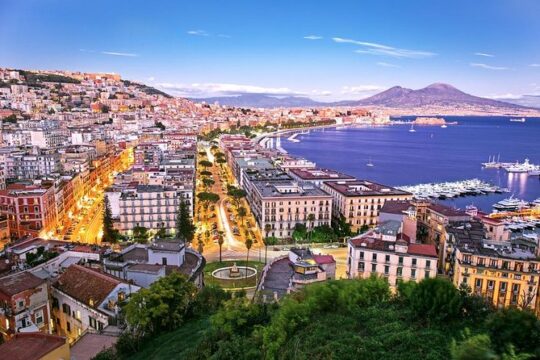 Naples Panoramic Private Tour from Naples