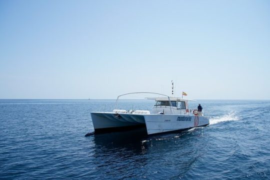 Bay trip in Calpe or Altea with a sailing catamaran