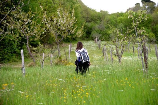 Trek the Apennines mountains to the ghost village