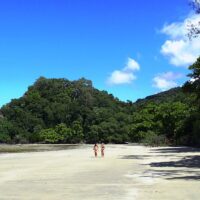 Tours & Sightseeing