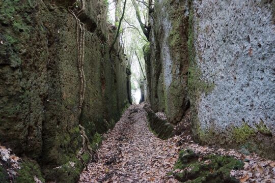 Trekking Excursion History and Nature Necropolis of Norchia from Rome