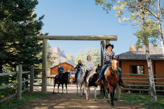 Valley Vista 1.5 Hour Horseback Trail Ride in Kananaskis