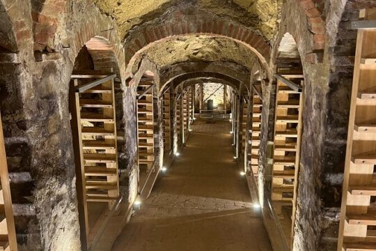 Private Tour Pisa, countryside with wine tasting
