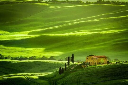Private Tour: Tuscany Daytrip from Rome