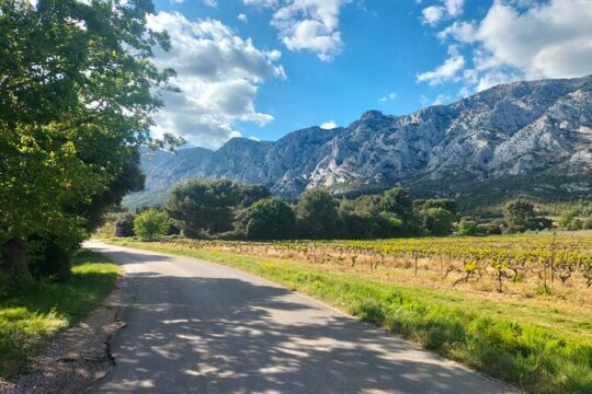 Wine Tour and Provencal Specialities Tasting in the Countryside