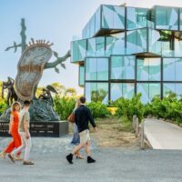 Private & Custom Tours