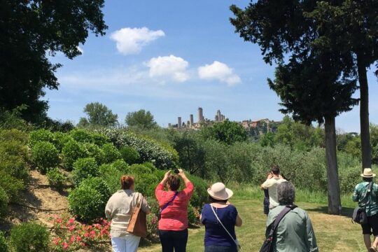 Pisa and San Gimignano Tour from Florence