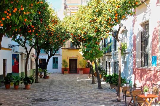 Monumental guided walking tour of the Santa Cruz district