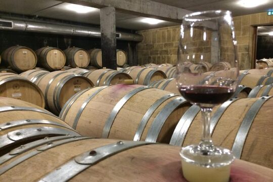 Cotes du Rhone Wine Tour (9:00 am to 5:15 pm) - Small Group Tour from Lyon