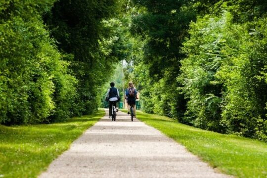 Bike ride on the Wine Route from Sélestat