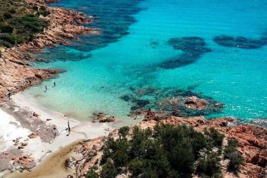 Half day in rubber dinghy in Cala Coticcio with snorkelling