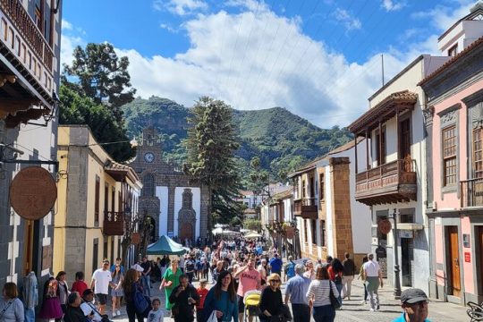 Private Tour from the Port of Las Palmas to Teror Firgas Arucas