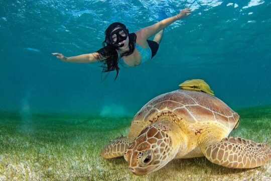 Turtle Akumal Adventure! + Tulum Ruins From Cancun & Playa Del Carmen