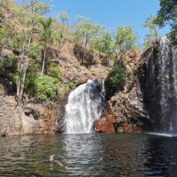 Bus & Minivan Tours
