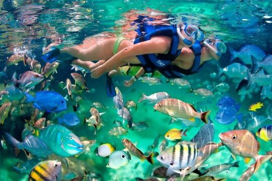 Tulum Coba Akumal Snorkel tour Premium Service Small Group